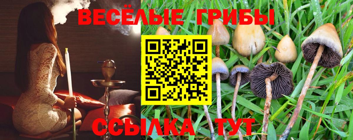 Зеленокумск  Галлюциногенные грибы прущие грибы  Вход с VPN 