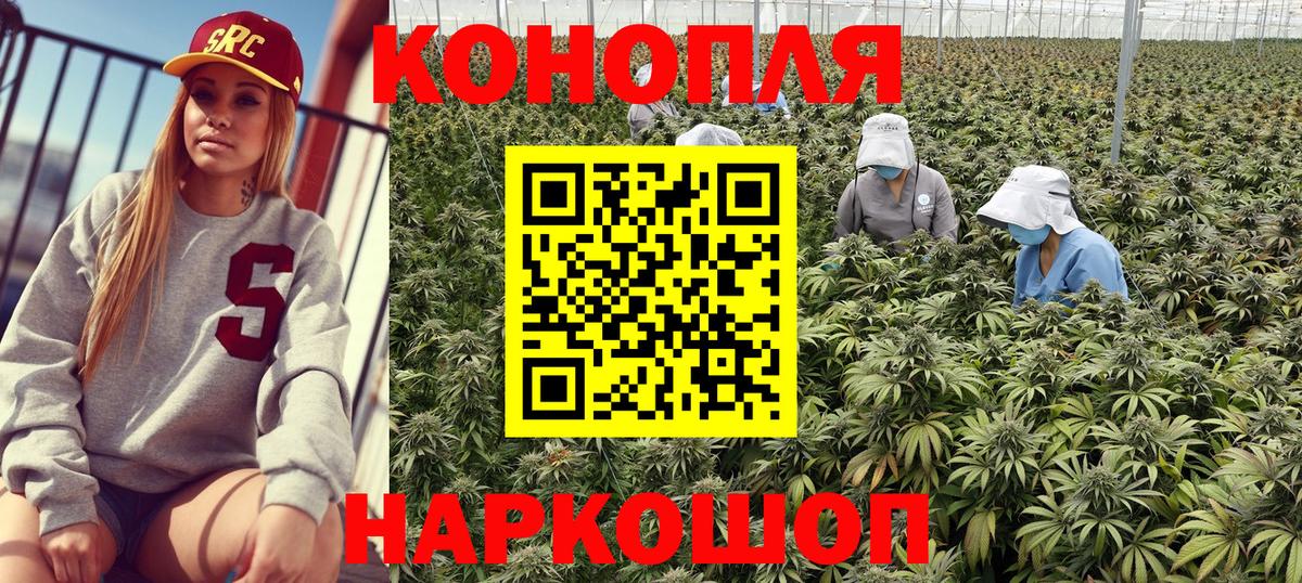 Конопля планчик Зеленокумск
